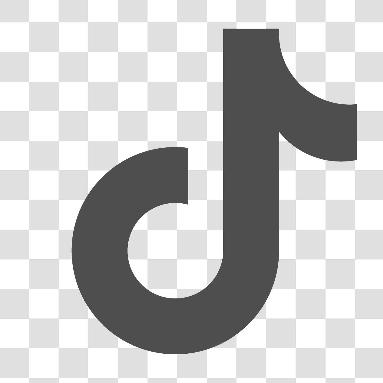 TikTok Icon